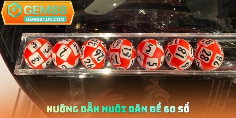 Hướng dẫn nuôi dàn đề 60 số